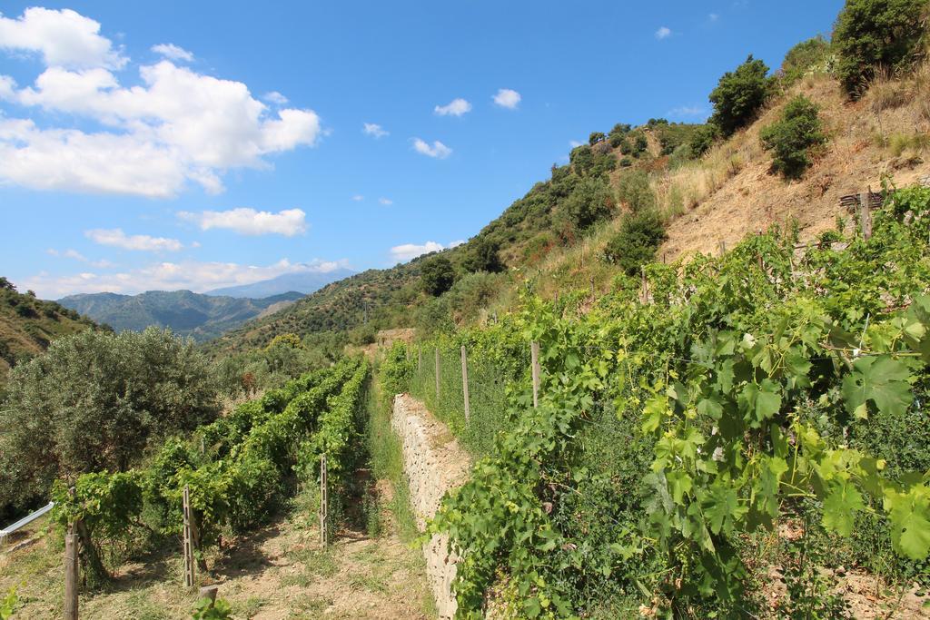 Profetina Village Motta Camastra Exterior photo